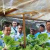 Panen Sayuran Hidroponik, WBP Rutan Surakarta Wujudkan Kemandirian Lewat Pemberdayaan Bersama Mahasiswa UNS