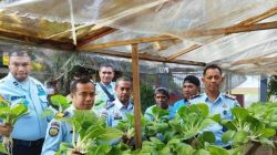 Panen Sayuran Hidroponik, WBP Rutan Surakarta Wujudkan Kemandirian Lewat Pemberdayaan Bersama Mahasiswa UNS