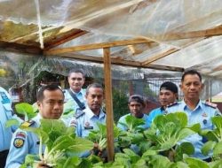 Panen Sayuran Hidroponik, WBP Rutan Surakarta Wujudkan Kemandirian Lewat Pemberdayaan Bersama Mahasiswa UNS